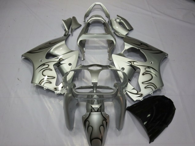 Silber Flamme 2000-2002 ZX6R Motorrad Verkleidungen